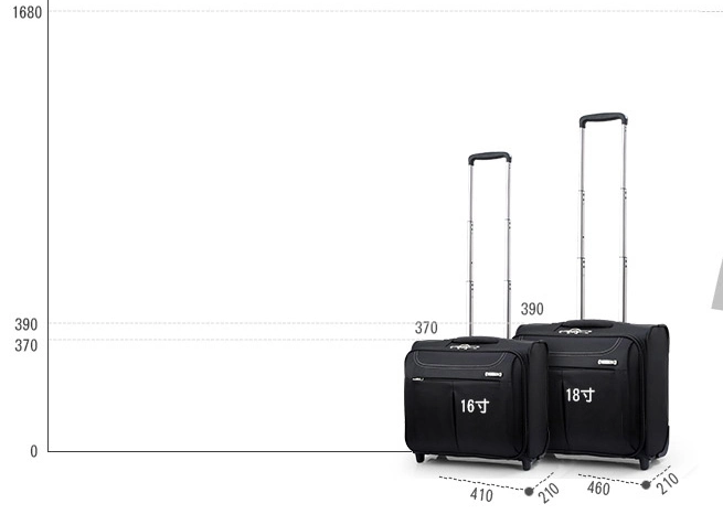 Top Quality Wheeled Trolley Leisure Business Travel Luggage Suitcase Bag Suitcase Case (CY3570)